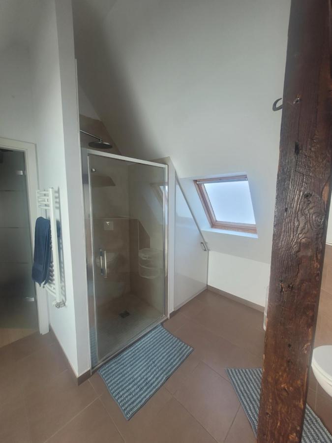 Studio 50M2 Au Bord De L'Eau A Strasbourg Eksteriør billede