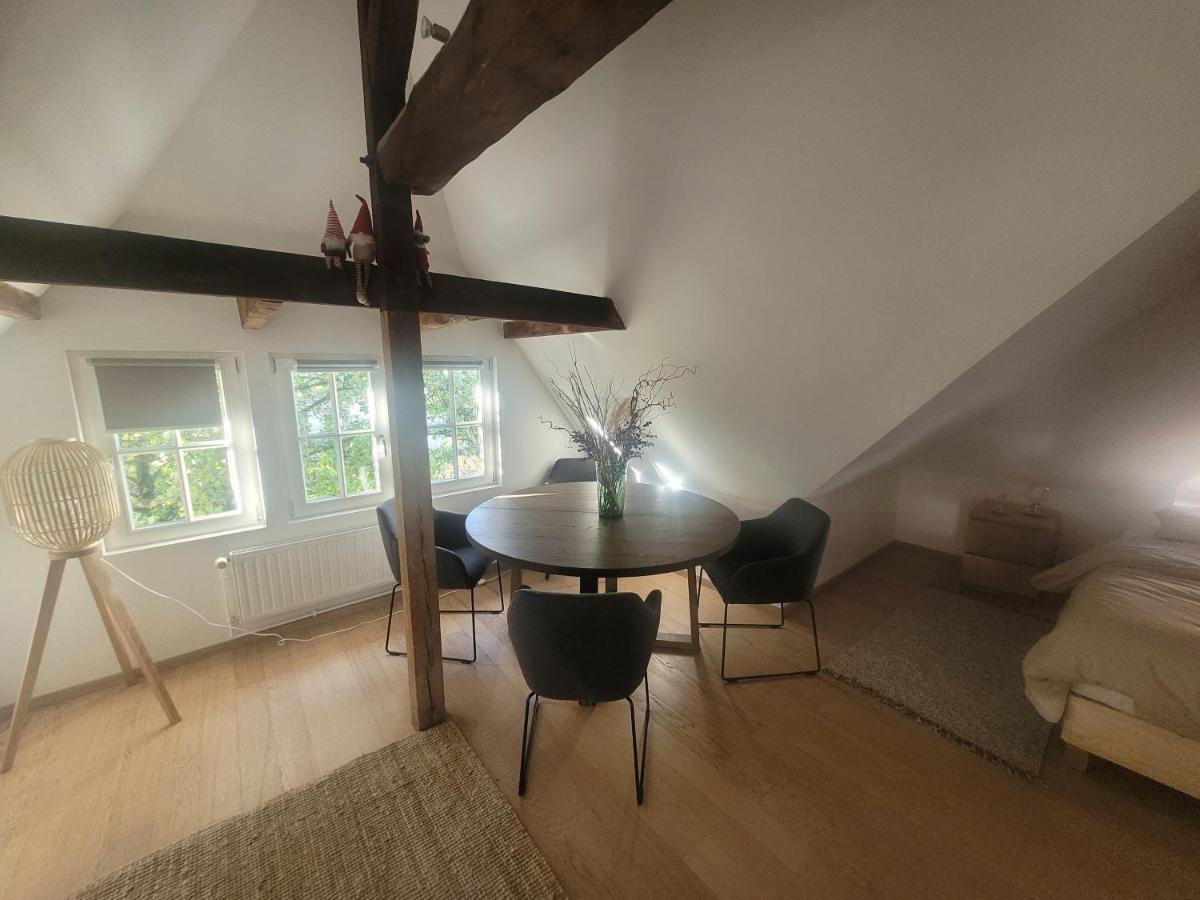 Studio 50M2 Au Bord De L'Eau A Strasbourg Eksteriør billede
