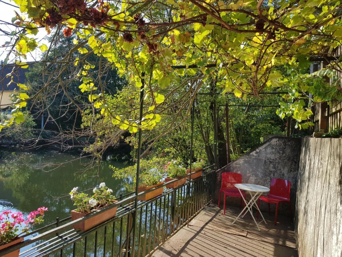 Studio 50M2 Au Bord De L'Eau A Strasbourg Eksteriør billede