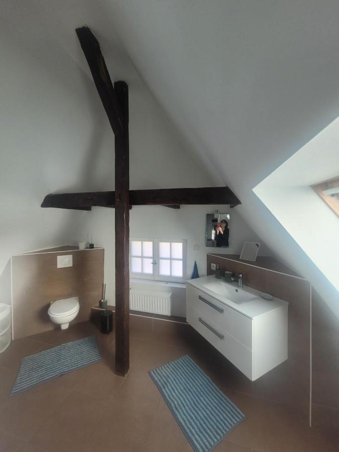 Studio 50M2 Au Bord De L'Eau A Strasbourg Eksteriør billede
