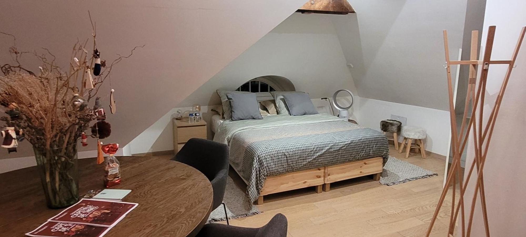 Studio 50M2 Au Bord De L'Eau A Strasbourg Eksteriør billede